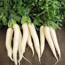 Radish