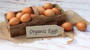 Organic Eggs